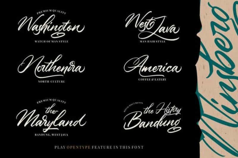 Winsberg Script Font Image 2