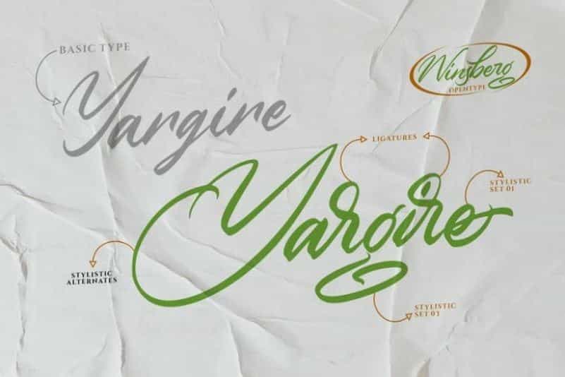 Winsberg Script Font Image 3