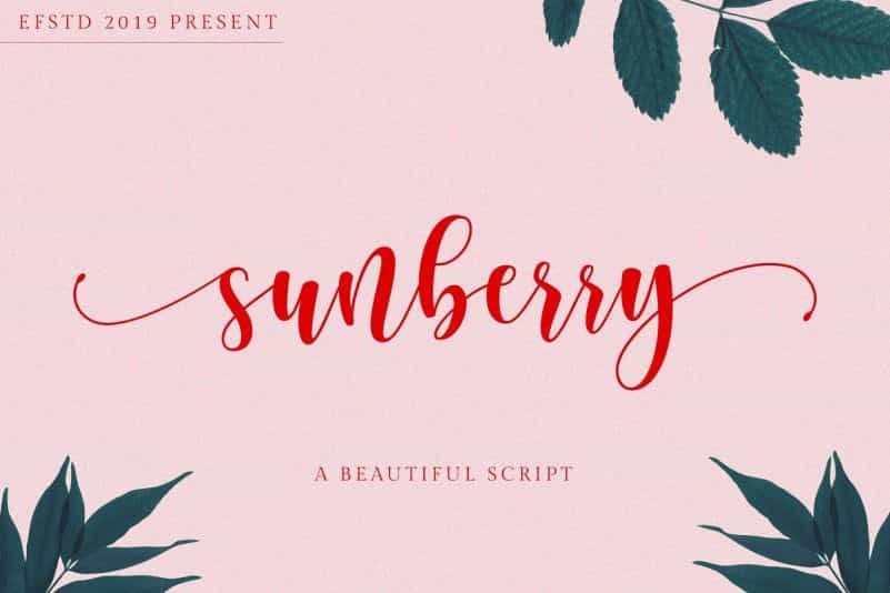 Sunberry Script Font Image 1