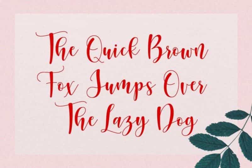 Sunberry Script Font Image 3