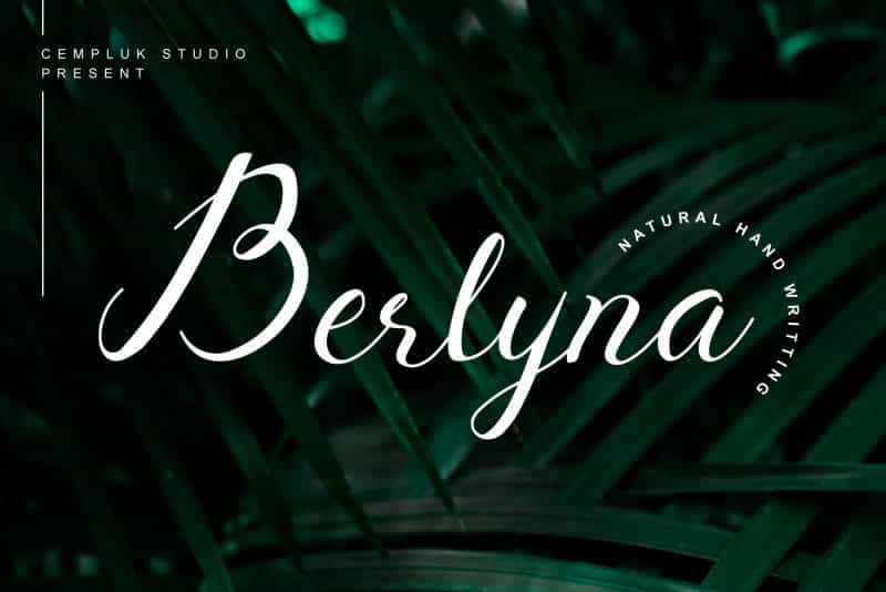 Berlyna Modern Script Font Image 1