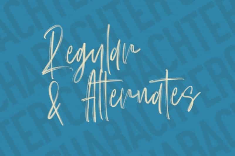 Schrader SVG Brush Font Image 3