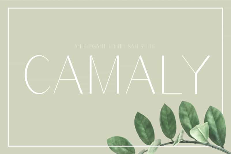 Camaly Sans Serif Font Image 1