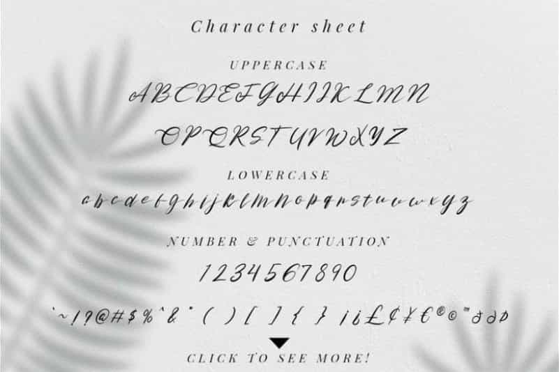 Rose Malow Script Font Image 3