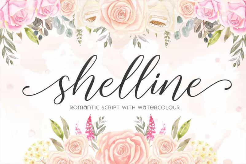 Shelline Script Font Image 1