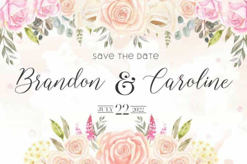 Shelline Script Font Image 2