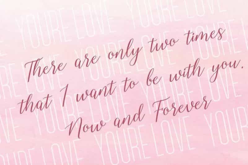 Shelline Script Font Image 3