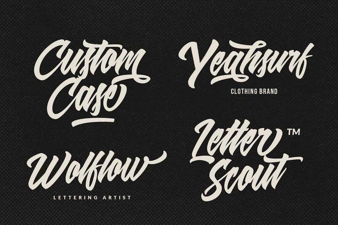 Shanders Script Font Image 2
