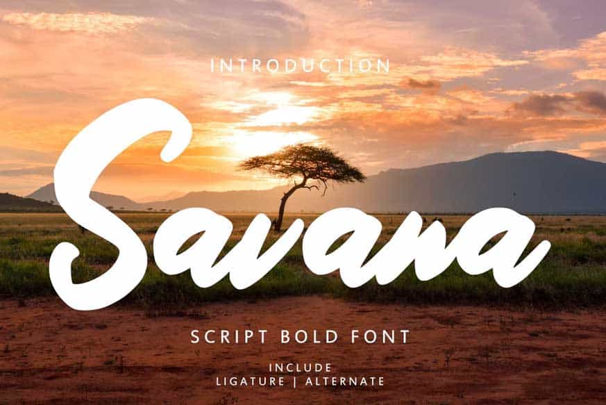 Savana Script Bold Font Image 1