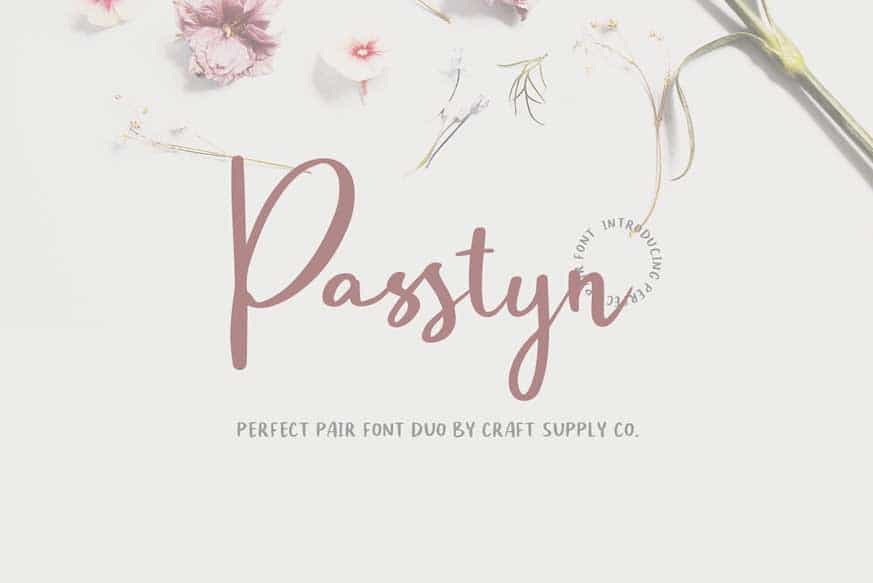 Passtyn Handwritten Font Duo Image 1