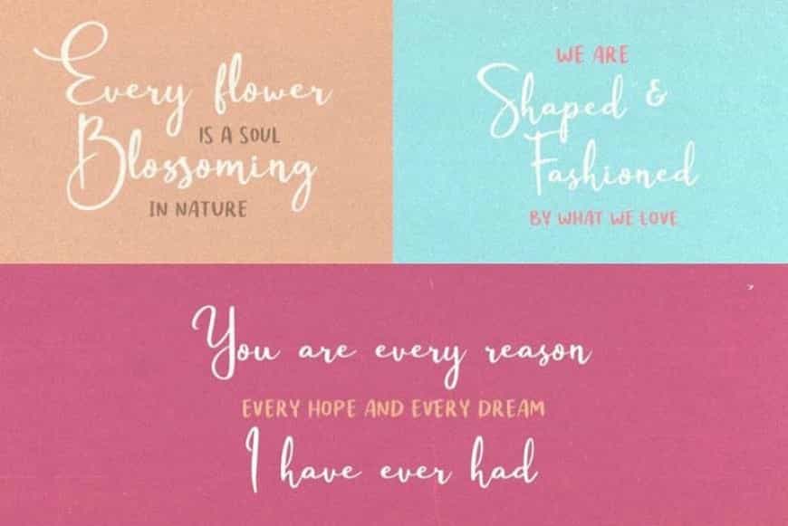 Passtyn Handwritten Font Duo Image 3