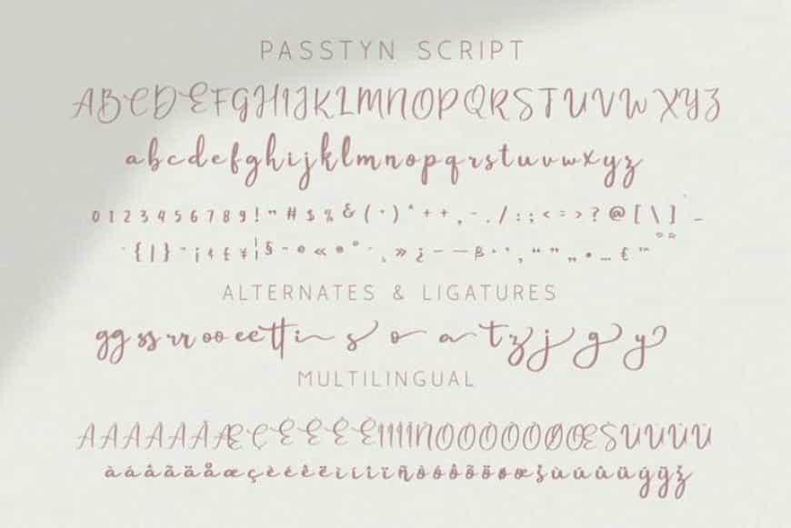 Passtyn Handwritten Font Duo Image 4