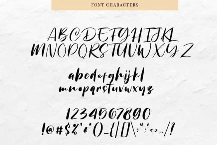 Chellyne Modern Script Font Image 3
