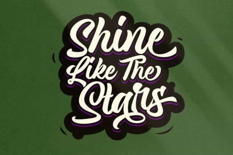 Magnison Script Font Image 3