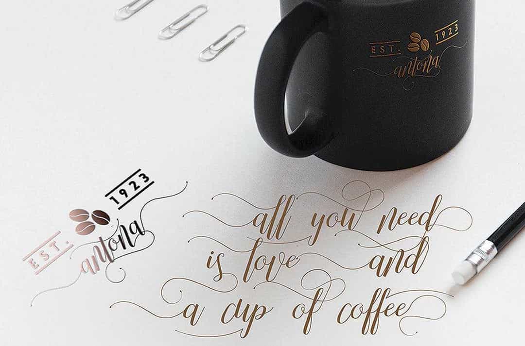 Molinha Script Font Image 2
