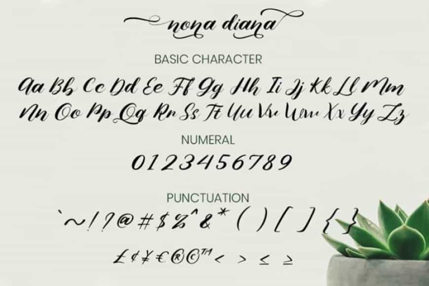Nona Diana Script Font Image 3
