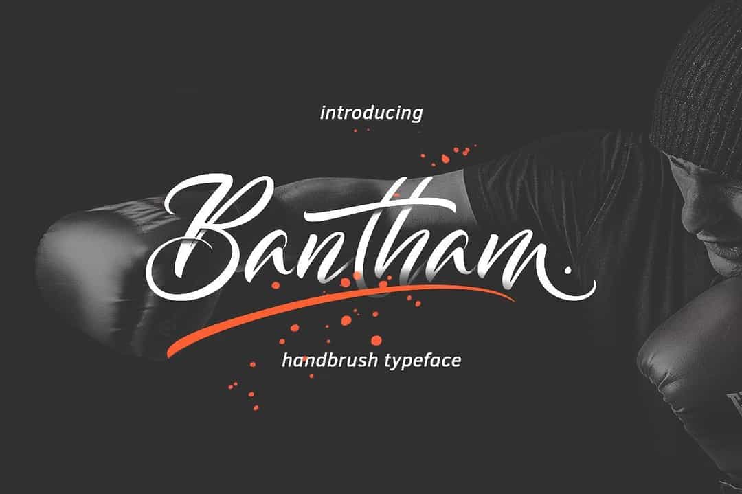 Bantham Handbrush Font Image 1