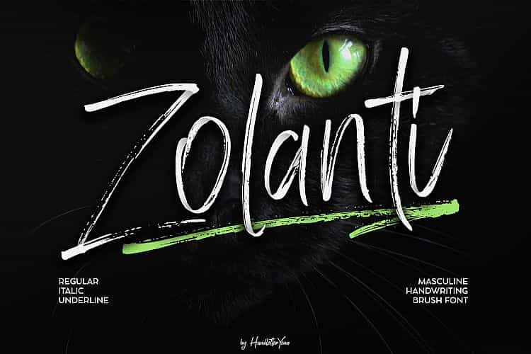 Zolanti Script Font Image 1