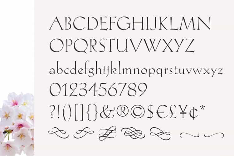 Hellen Serif Free Font Image 2