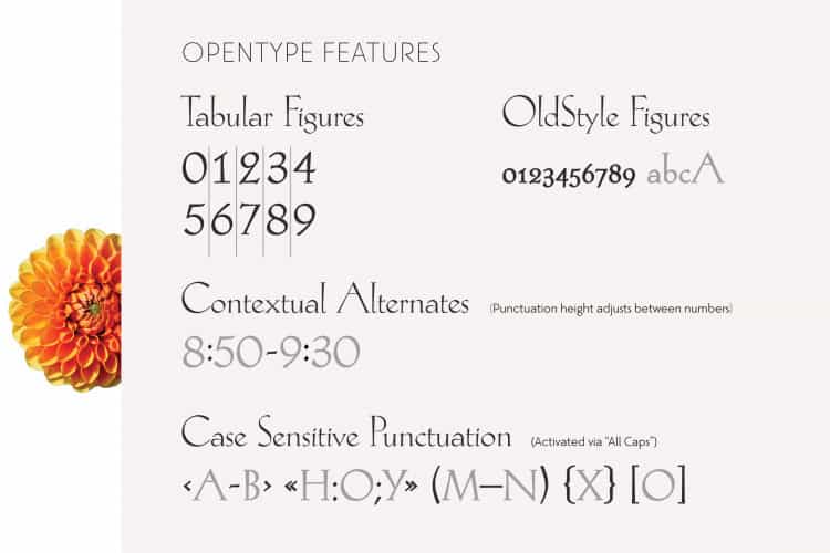 Hellen Serif Free Font Image 4