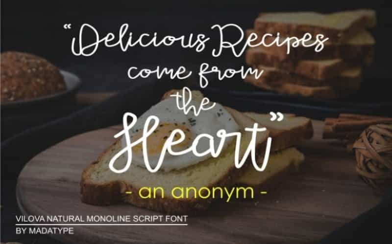 Vilova Script Font Image 3