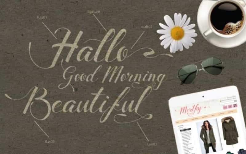 Merthy Script Font Image 3