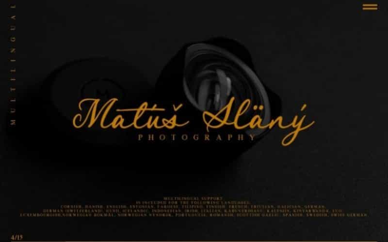 Royal Stamford Script Font Image 2