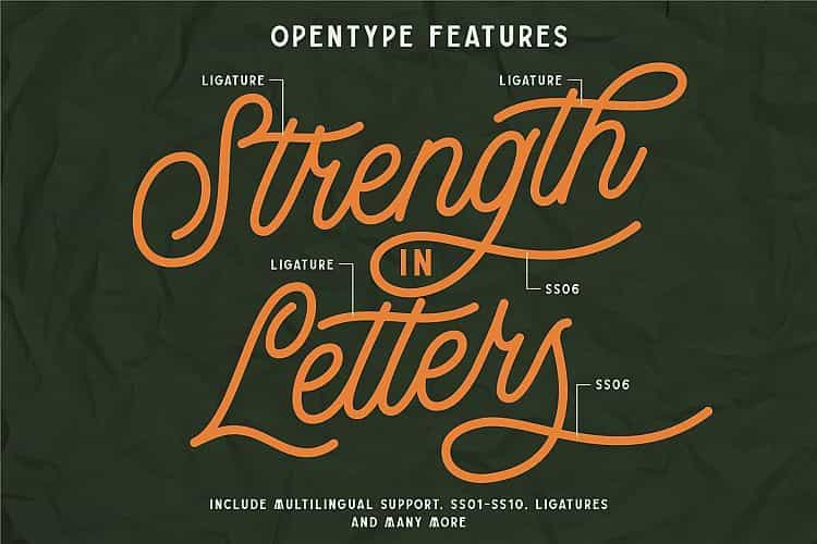 Buryland Script Font Image 3