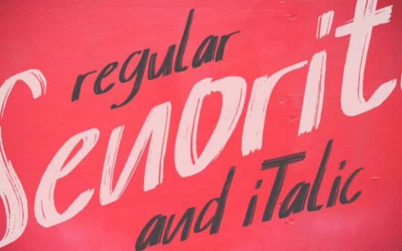 Senorita Brush Font Image 2