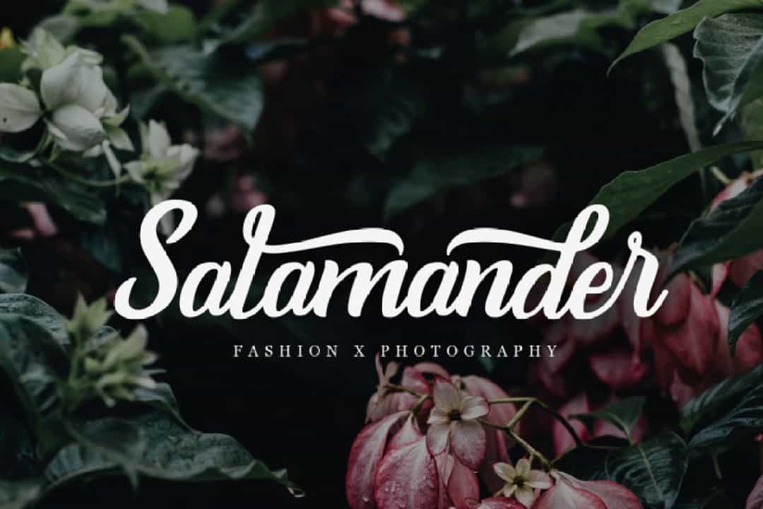 Burgundy Handwritten Font Image 2