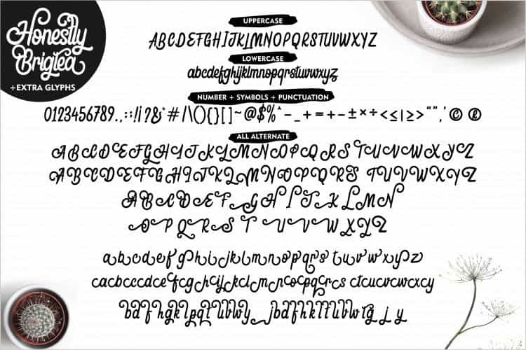 Honestly Brigtea Script Font Image 3