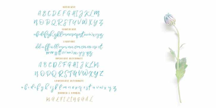 Nermola Script Font Image 3