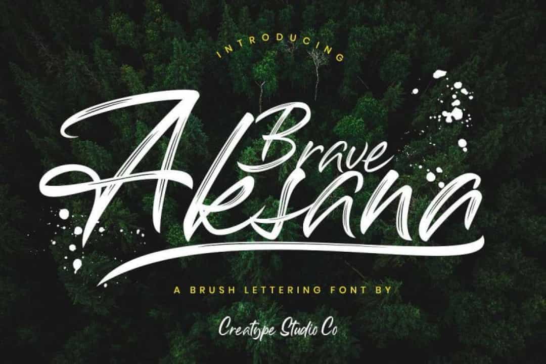 Aksana Brush Font Image 1