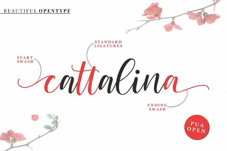 Cattalina Script Font Image 3
