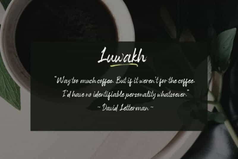 Space Outside Brush Font Image 2