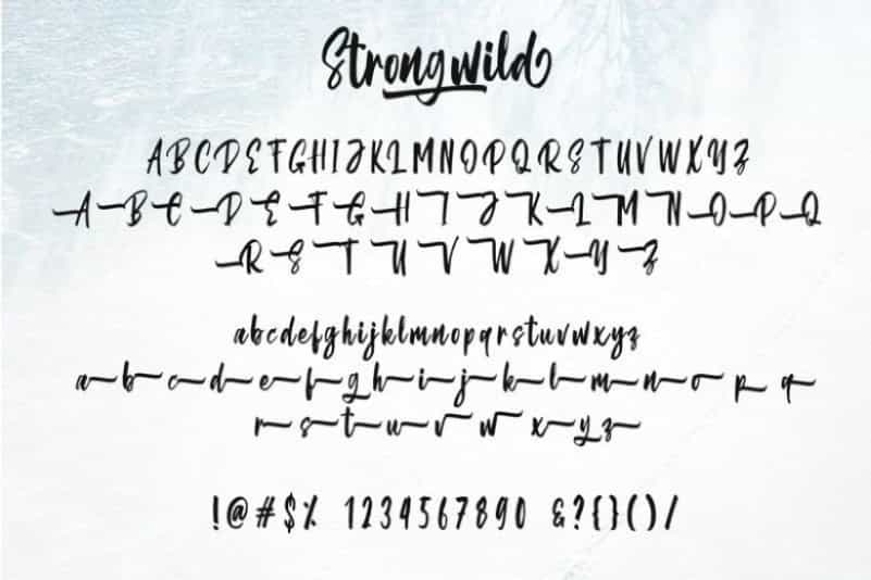 Strongwild Brush Font Image 4