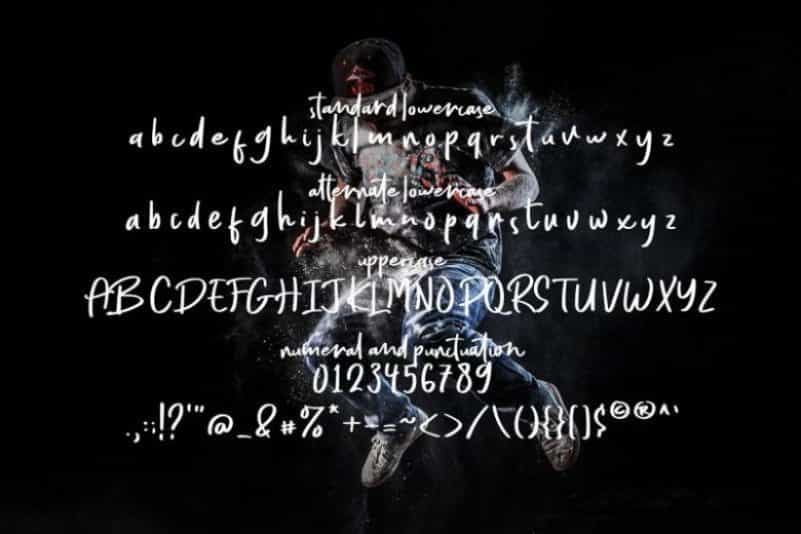 Every Style Script Font Image 3