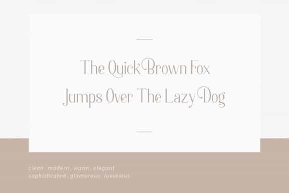 Berlin Serif Font Image 2