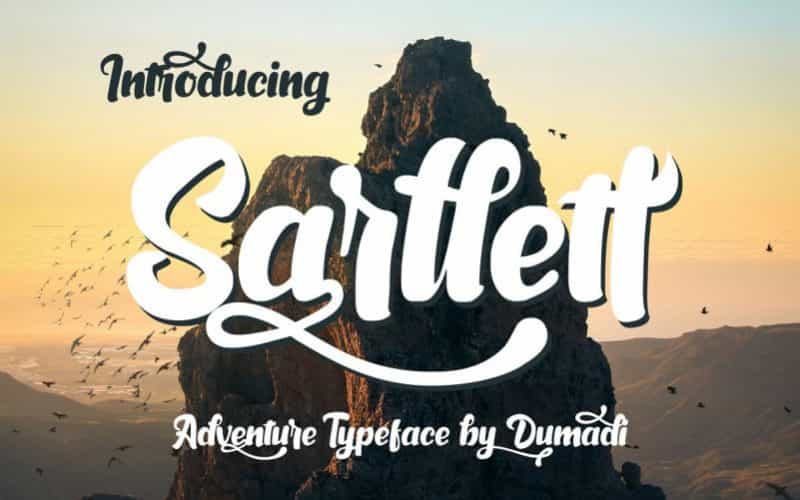Sarllett Script Font Image 1