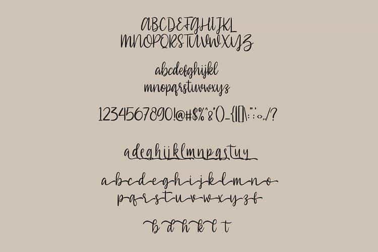 Southiya Script Font Image 2