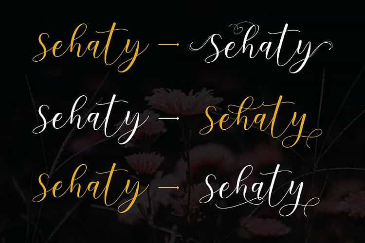 Sehaty Script Font Image 3