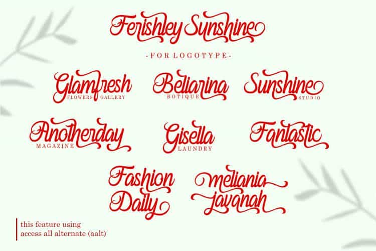 Ferishley Sunshine Script Font Image 2