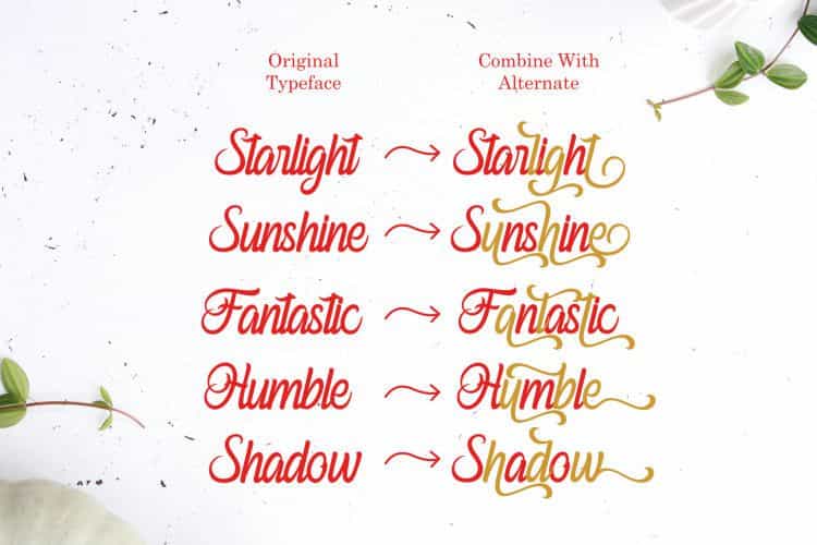 Ferishley Sunshine Script Font Image 3