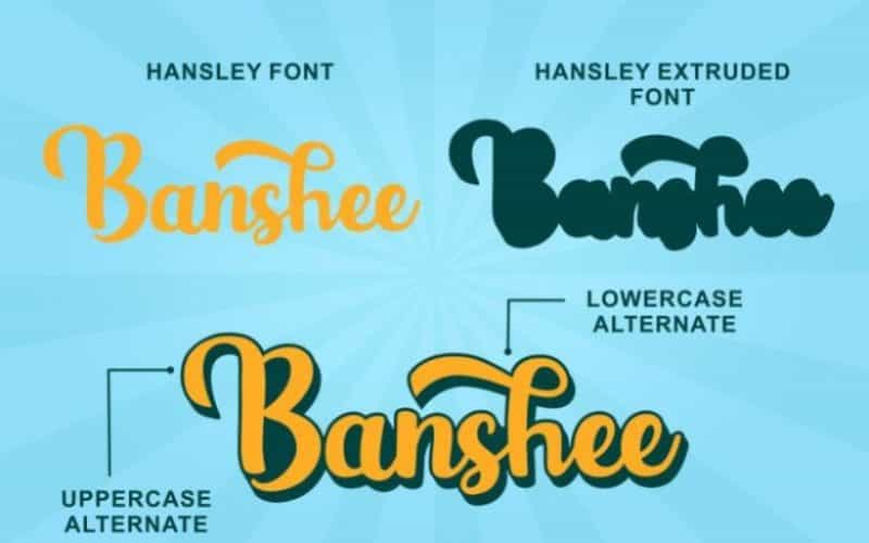 Hansley Script Font Image 2