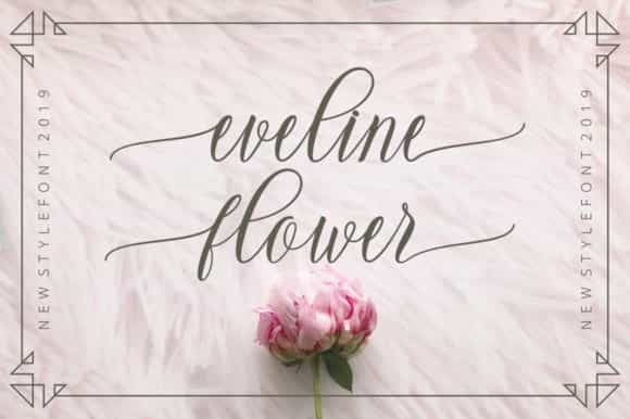 Leadent Calligraphy Font Image 2