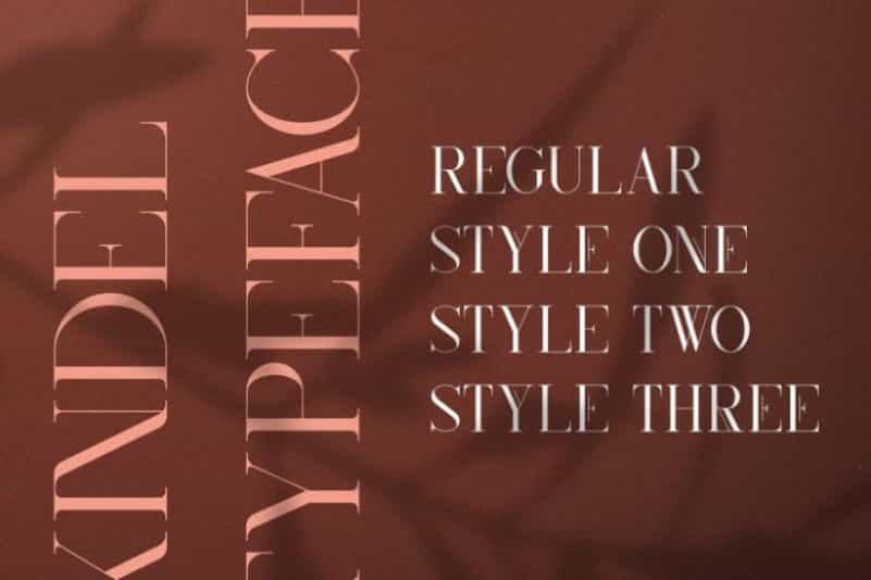 Kindel Serif Font Image 2