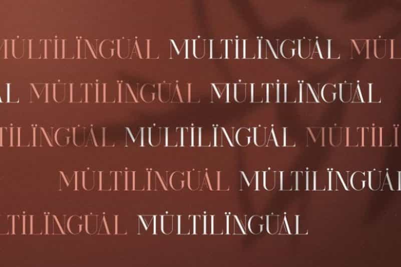 Kindel Serif Font Image 3