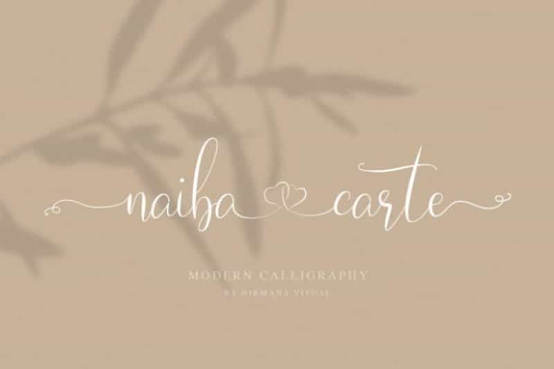 Naibacarte Script Font Image 1