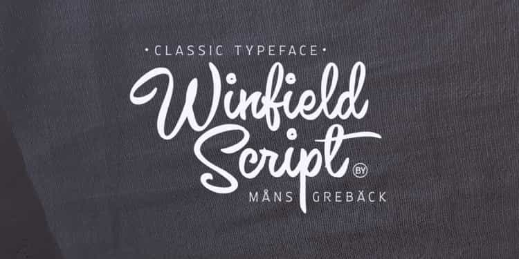 Winfield Font Image 1