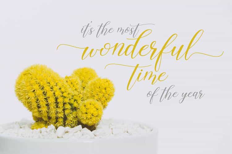 Machis Calligraphy Font Image 3
